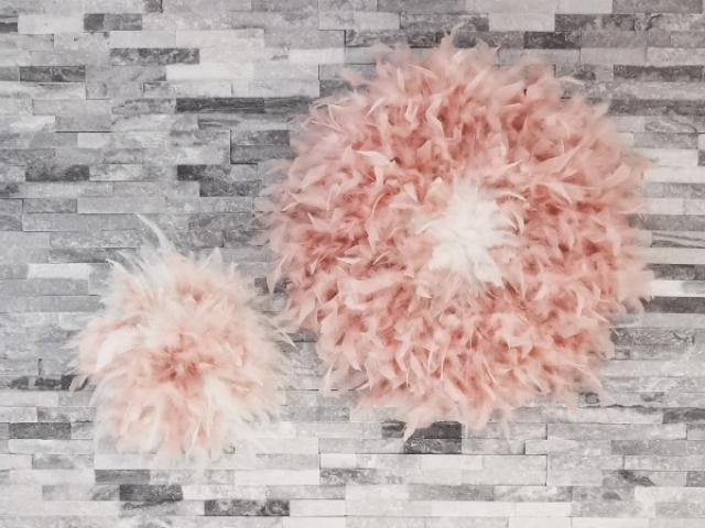 Décoration d'interieur Juju Hat plume Sweet Dream Rose & Blanc